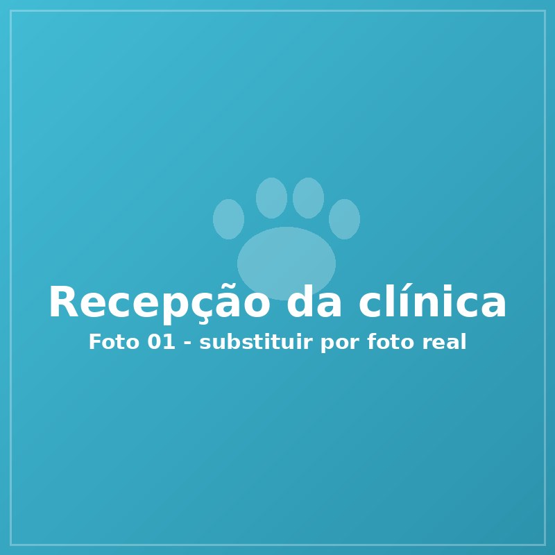 Recepção da Clínica Veterinária Esperança