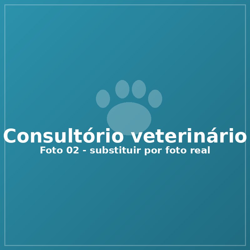 Consultório veterinário durante atendimento