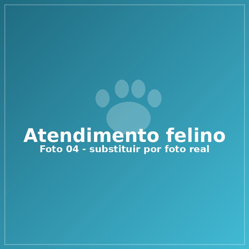 Gato em atendimento veterinário