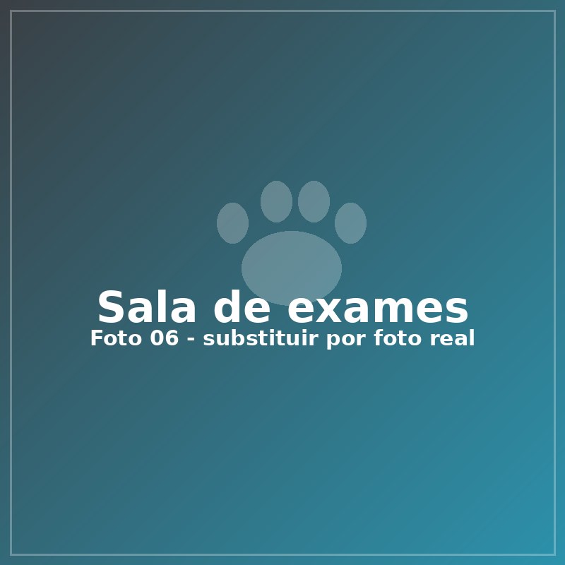 Sala de exames da clínica veterinária