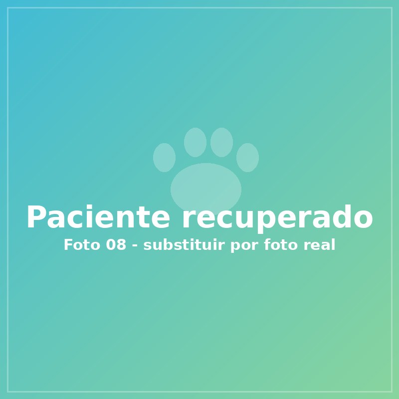 Pet após atendimento na clínica