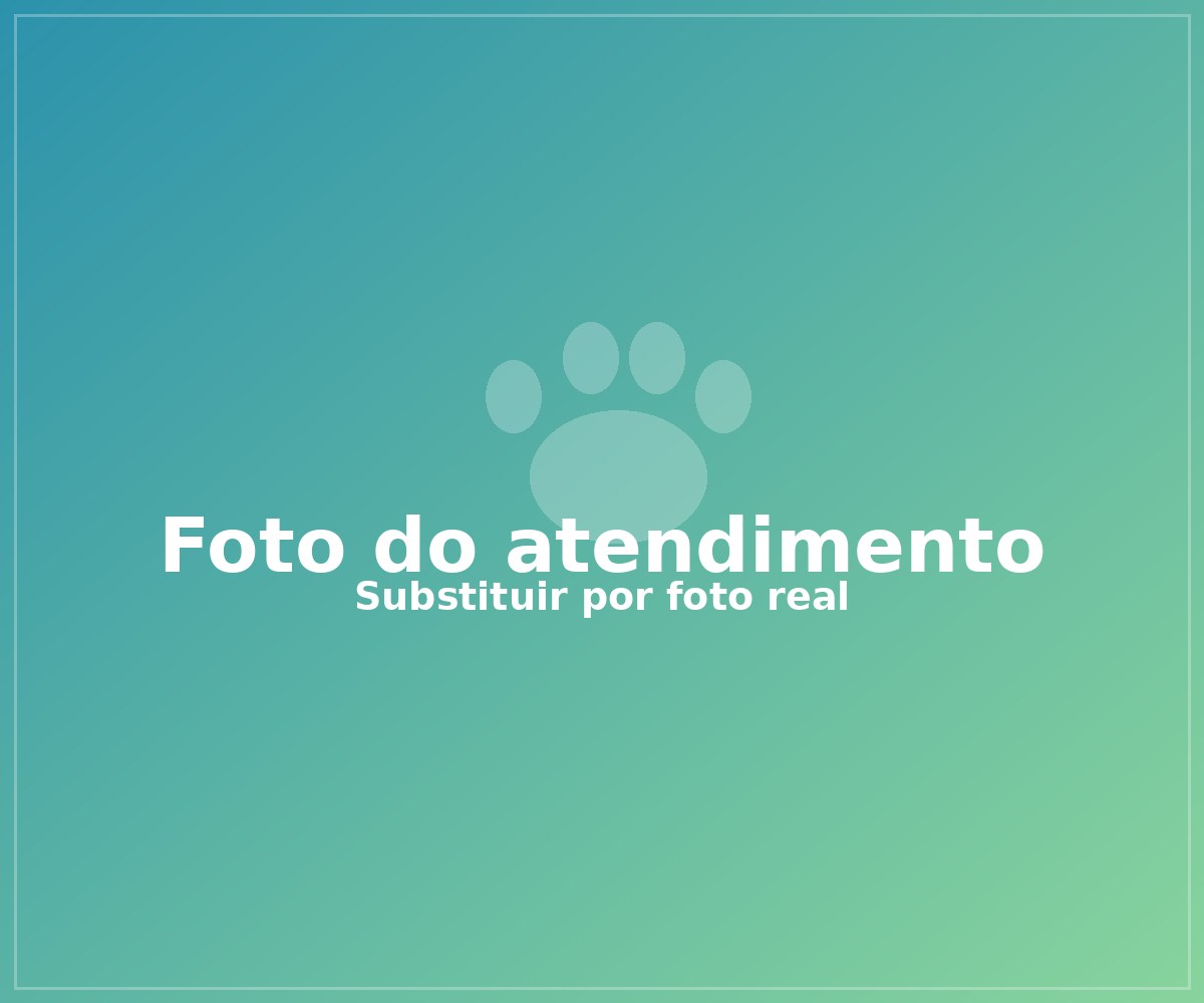 Veterinário da Clínica Esperança examinando um cão com cuidado
